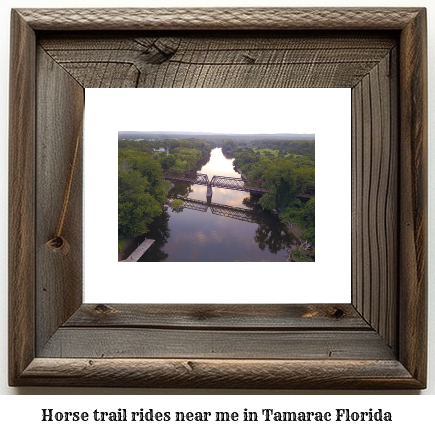 horse trail rides near me in Tamarac, Florida